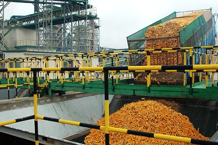 敦煌種業(yè)先鋒良種有限公司酒泉種子加工廠三、四期工程竣工投產(chǎn)